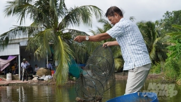Greenhouse gas emissions from extensive shrimp farming ponds decreased by 17%